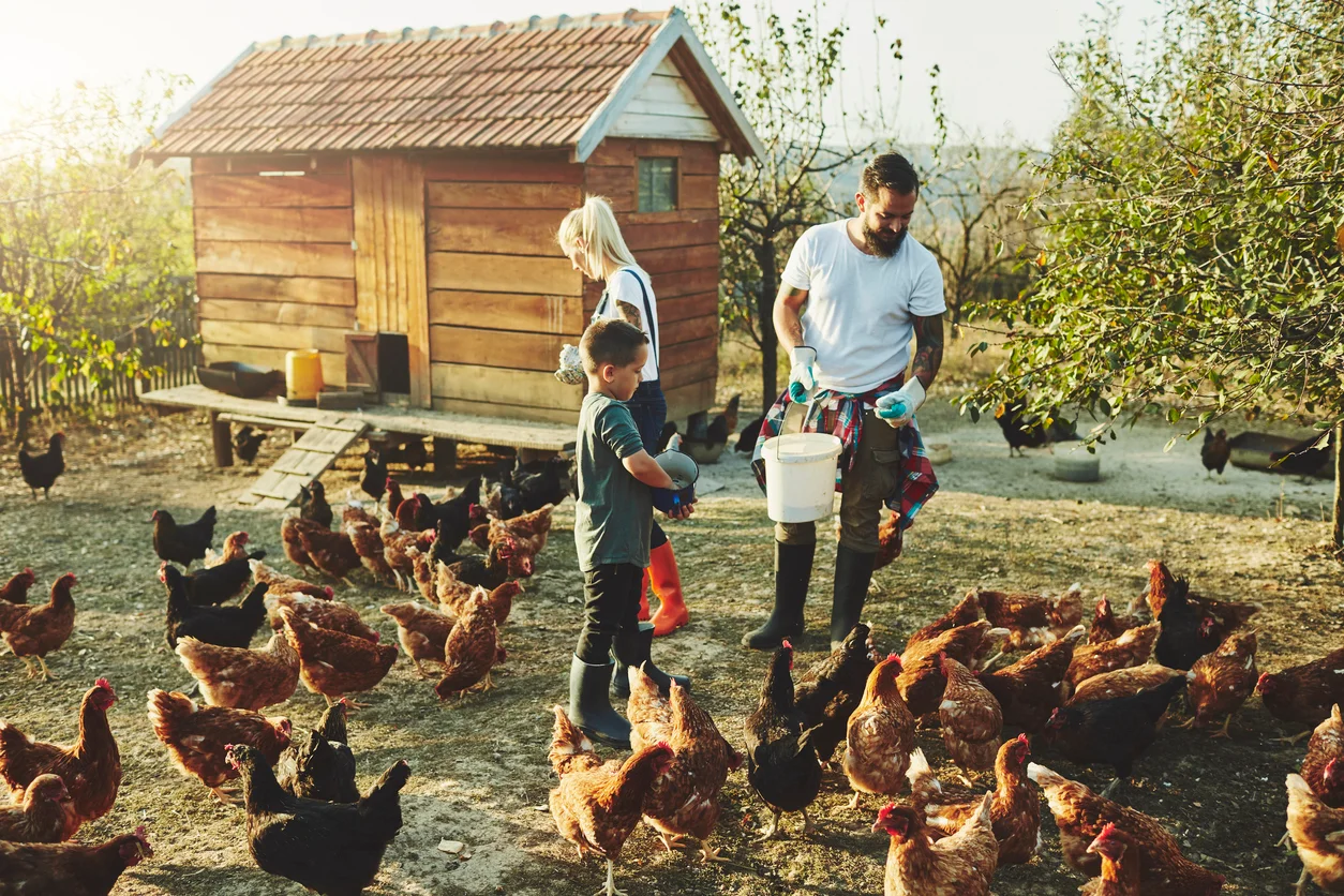 Smart Strategies to Prepare for Food Shortages Calmly