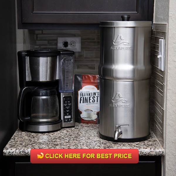 Alexapure Pro Water Filter Reviews: Why the Alexapure Filter Is a Must-Have