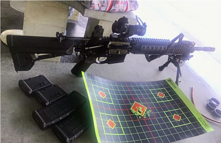 https://teddycommandpost.org/survival/mcgstinger/